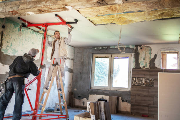 Best Geographic-Specific Insulation Services in Boonsboro, MD